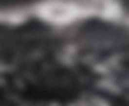 Ansel Adams 195 Auction Results Widewalls