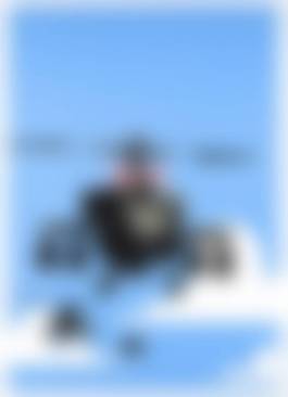 auction-image