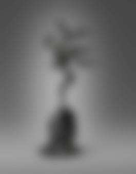 auction-image