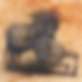 auction-image