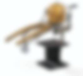 auction-image