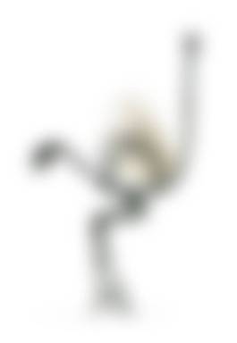 auction-image