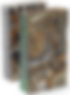 auction-image