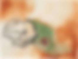 auction-image
