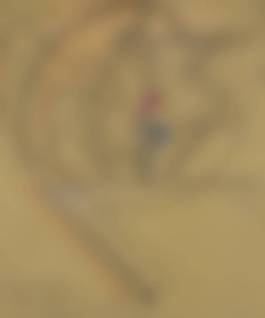 auction-image