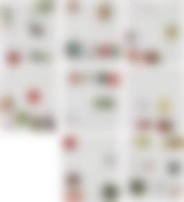 auction-image