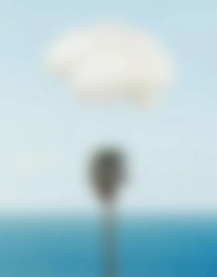 ジョン・バルデッサリ 展覧会用ポスター「Palm tree/seascape」 www