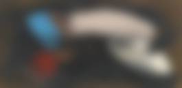 auction-image