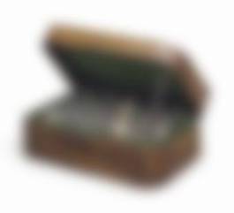 auction-image