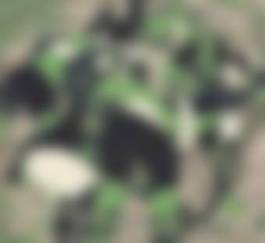 auction-image