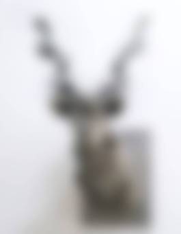 auction-image