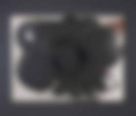 auction-image