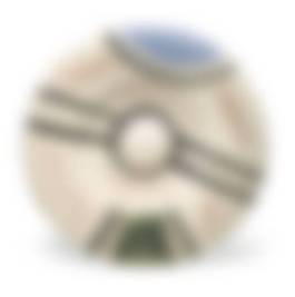 auction-image