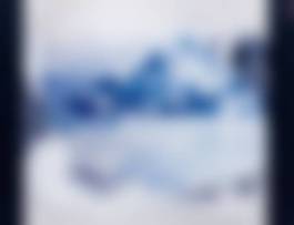 auction-image