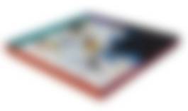 auction-image