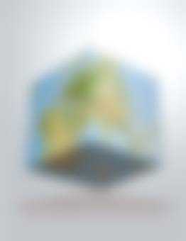 auction-image
