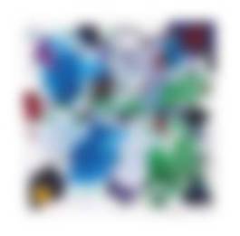auction-image