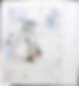 auction-image
