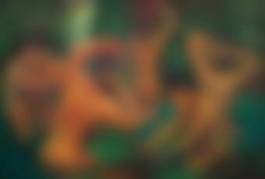 auction-image