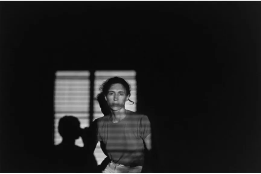 lee friedlander sub-framing photography