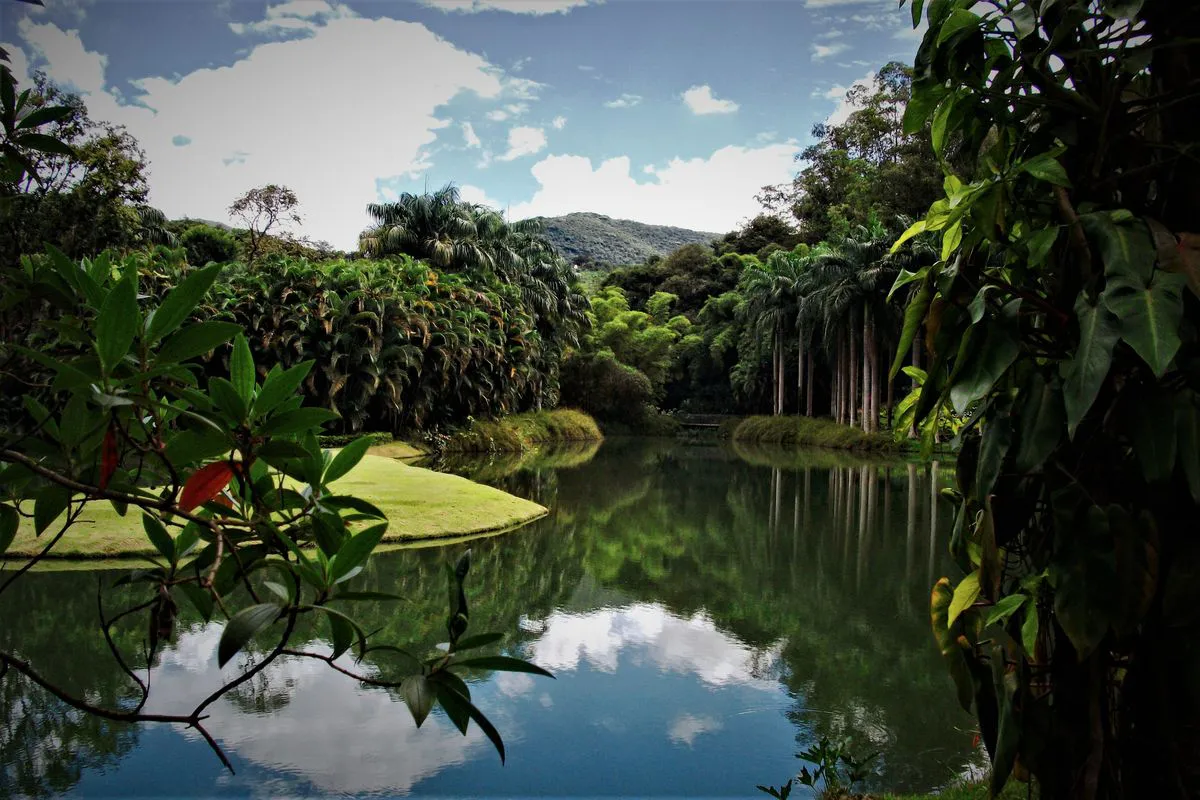 Art Among Nature - Brazil's Inhotim is a Must-Visit! | Widewalls