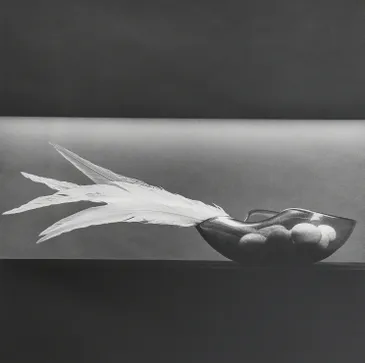 Robert Mapplethorpe ☆ Lydia Cheng ☆ ポスター - cmcb2dejulho2.com.br