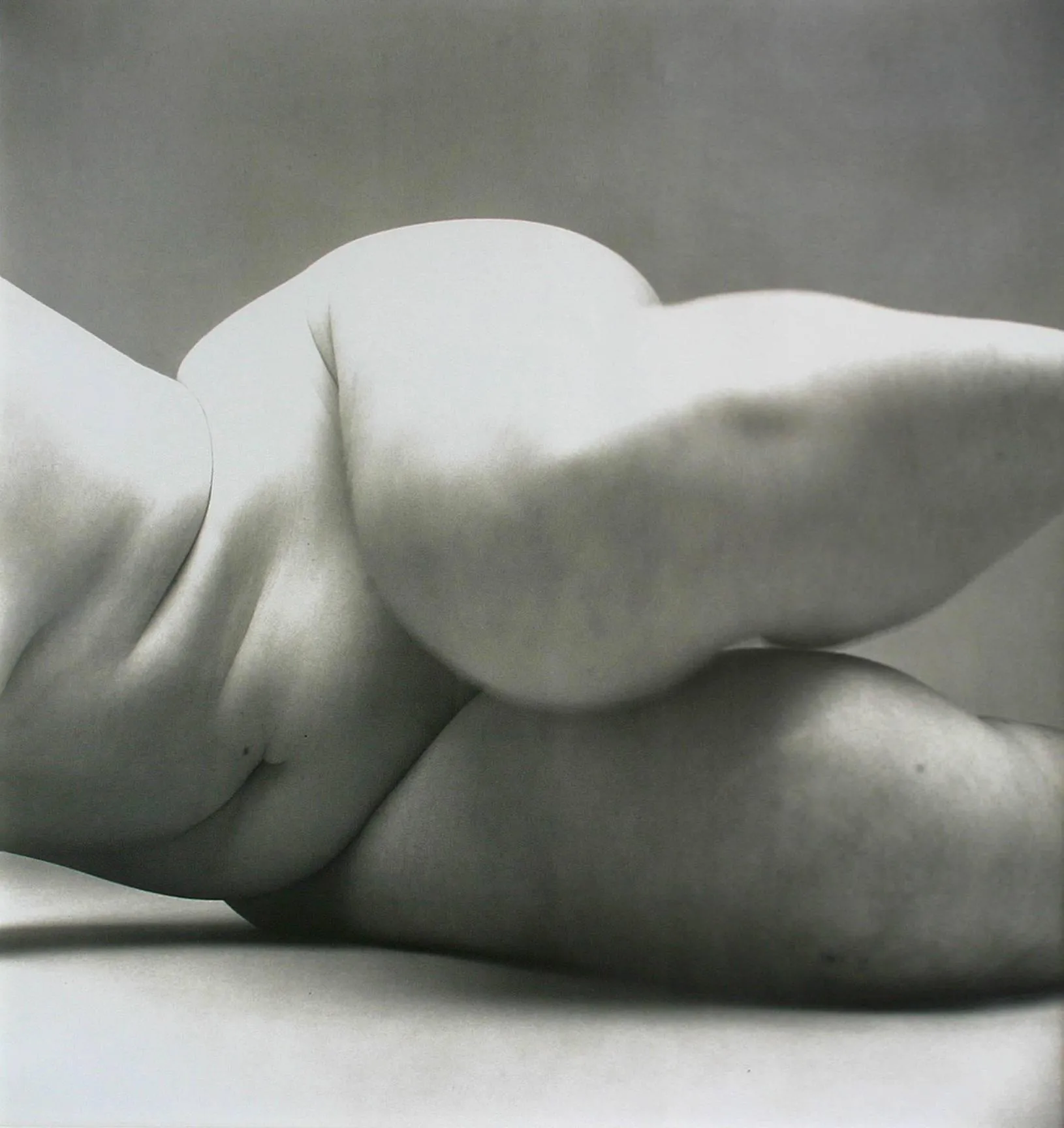 Irving Penn - Nude No. 57, 1949–1950 | Widewalls