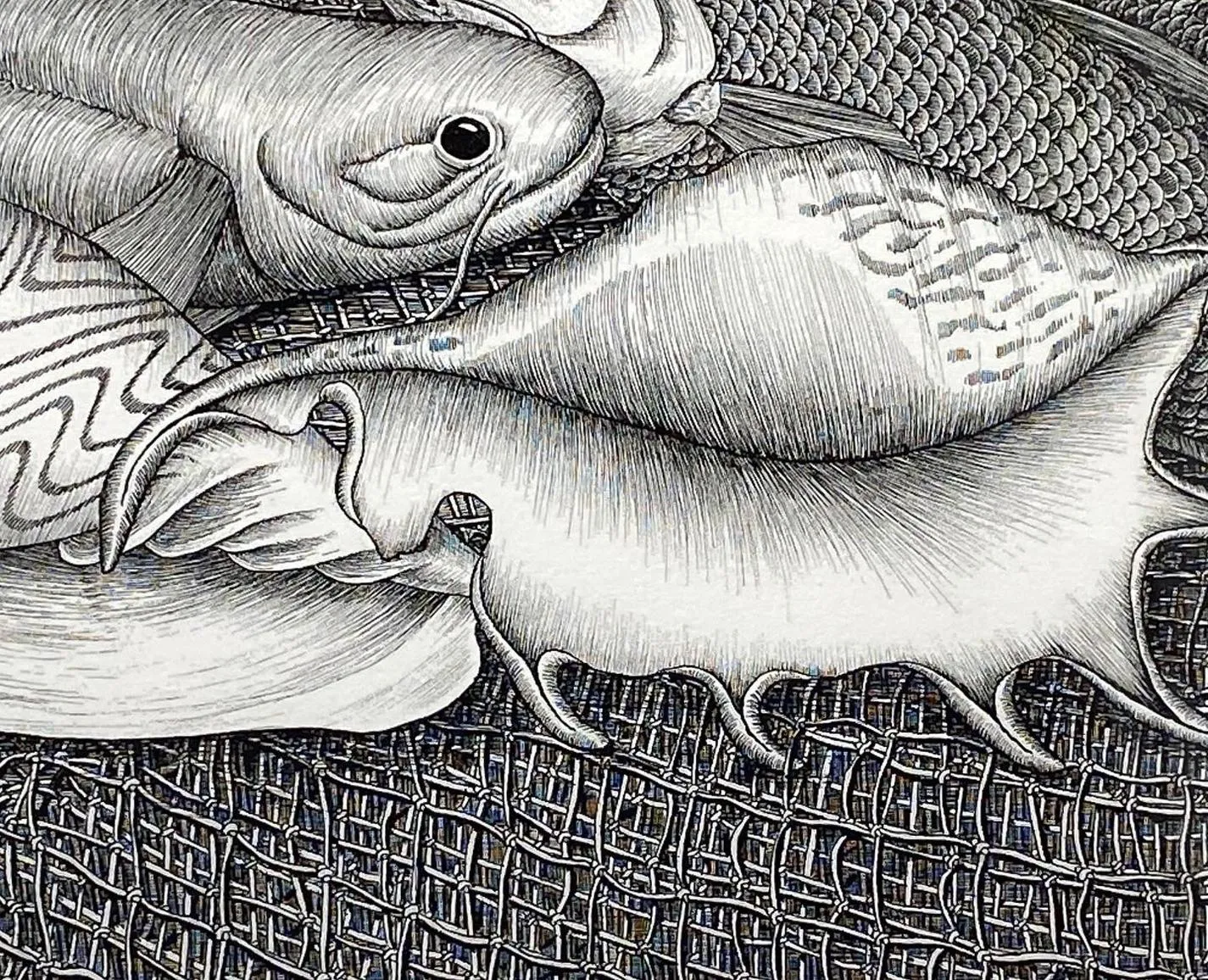 14514.Decor Poster print.Room wall art.Marine life drawing.Fish market  design | eBay