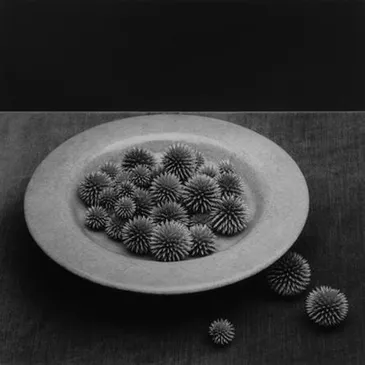 Robert Mapplethorpe ☆ Lydia Cheng ☆ ポスター | eclipseseal.com