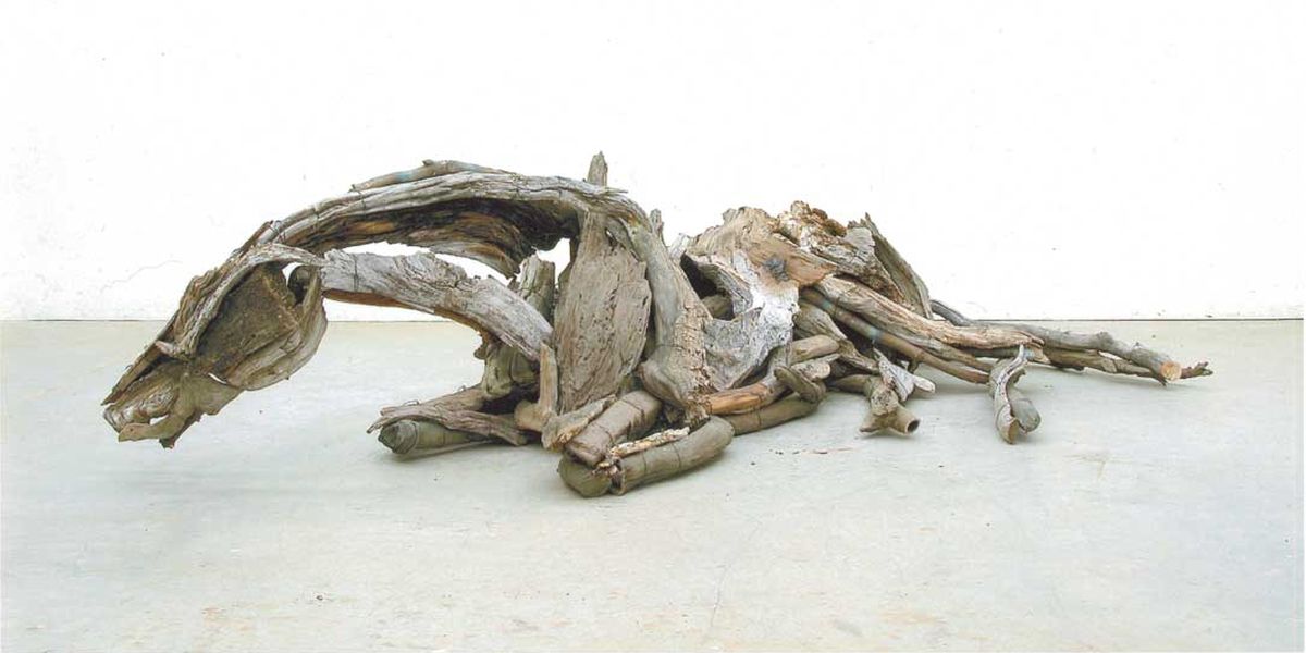 Deborah Butterfield Widewalls