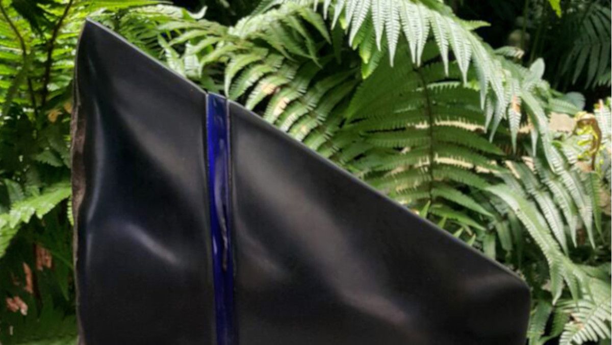 Hugo Zapata Widewalls