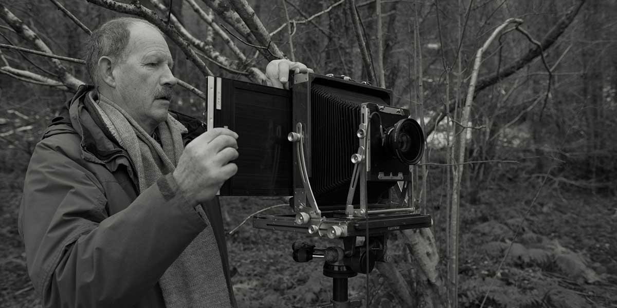 Jem Southam 0 Artworks to Discover and Buy Widewalls