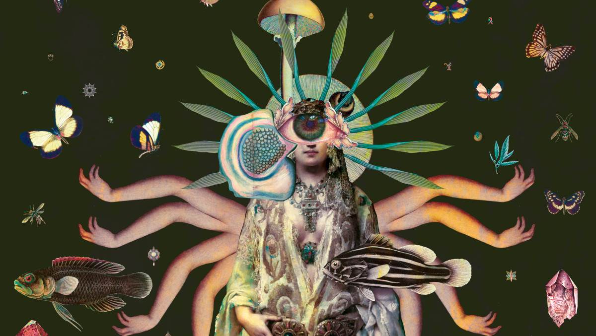 Luis Toledo Widewalls