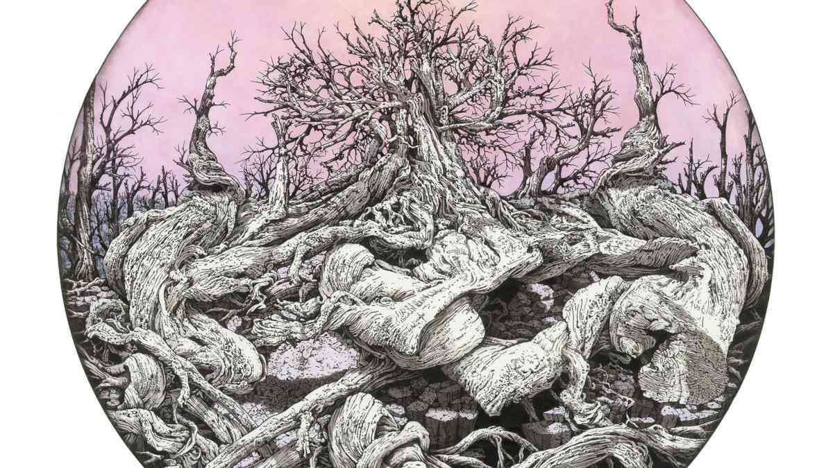 Rachael Pease Widewalls