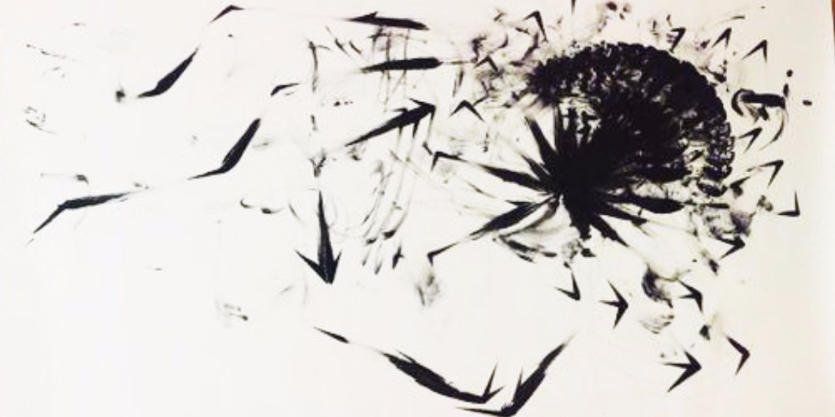 FOCUS: Ralf Ziervogel | Modern Art Museum of Fort Worth