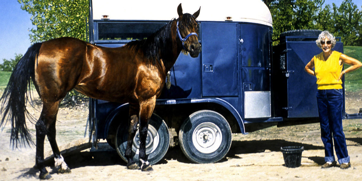 Richard McLean | Widewalls