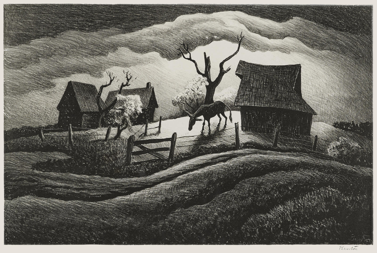 auction-image