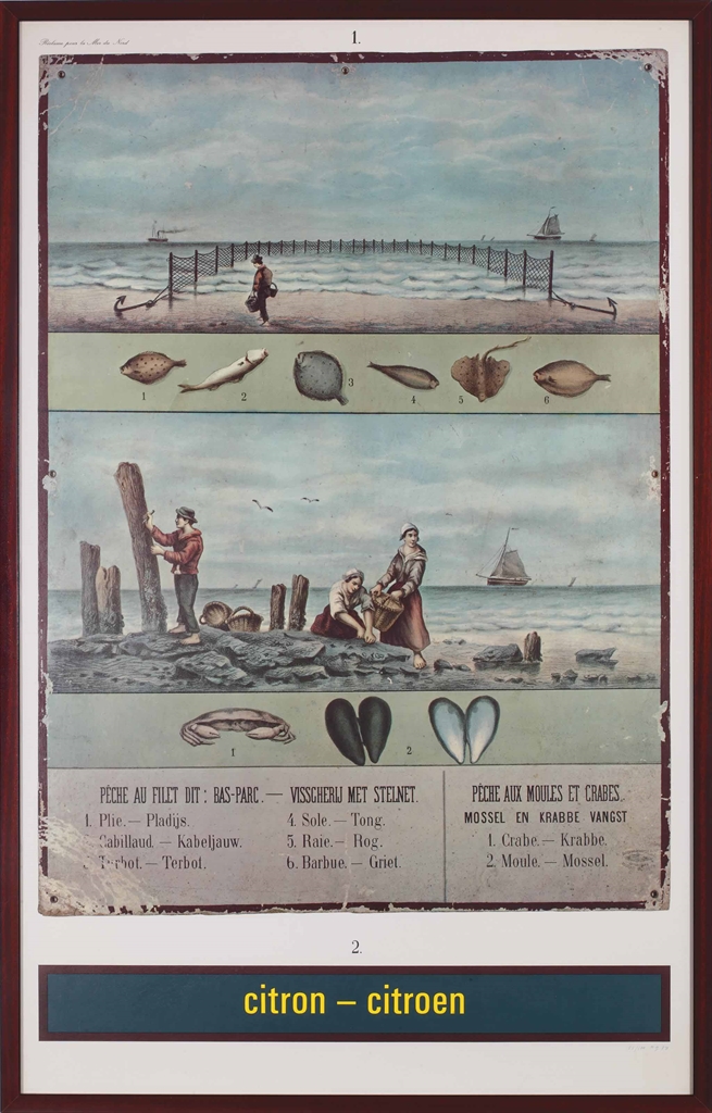 auction-image