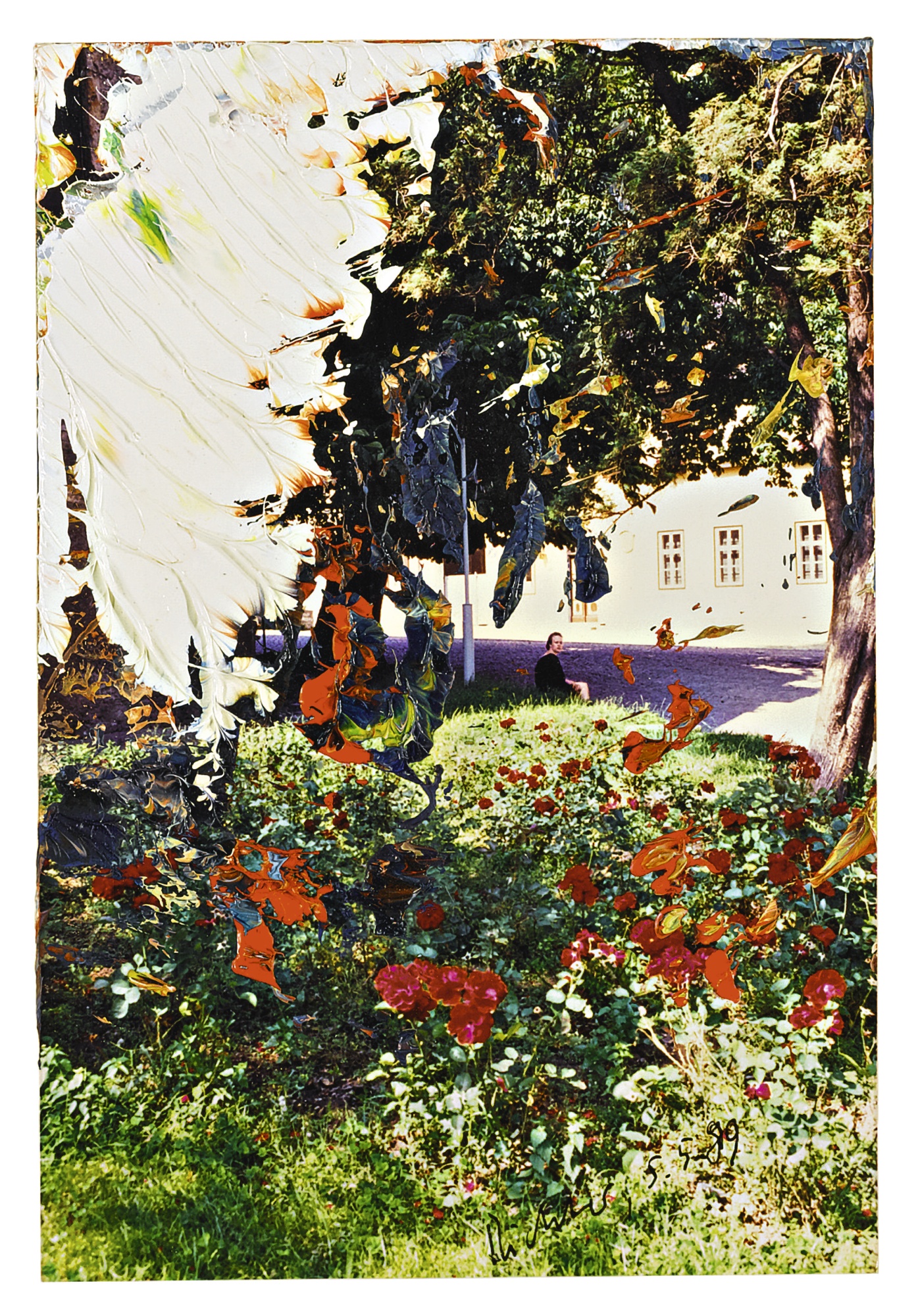 auction-image
