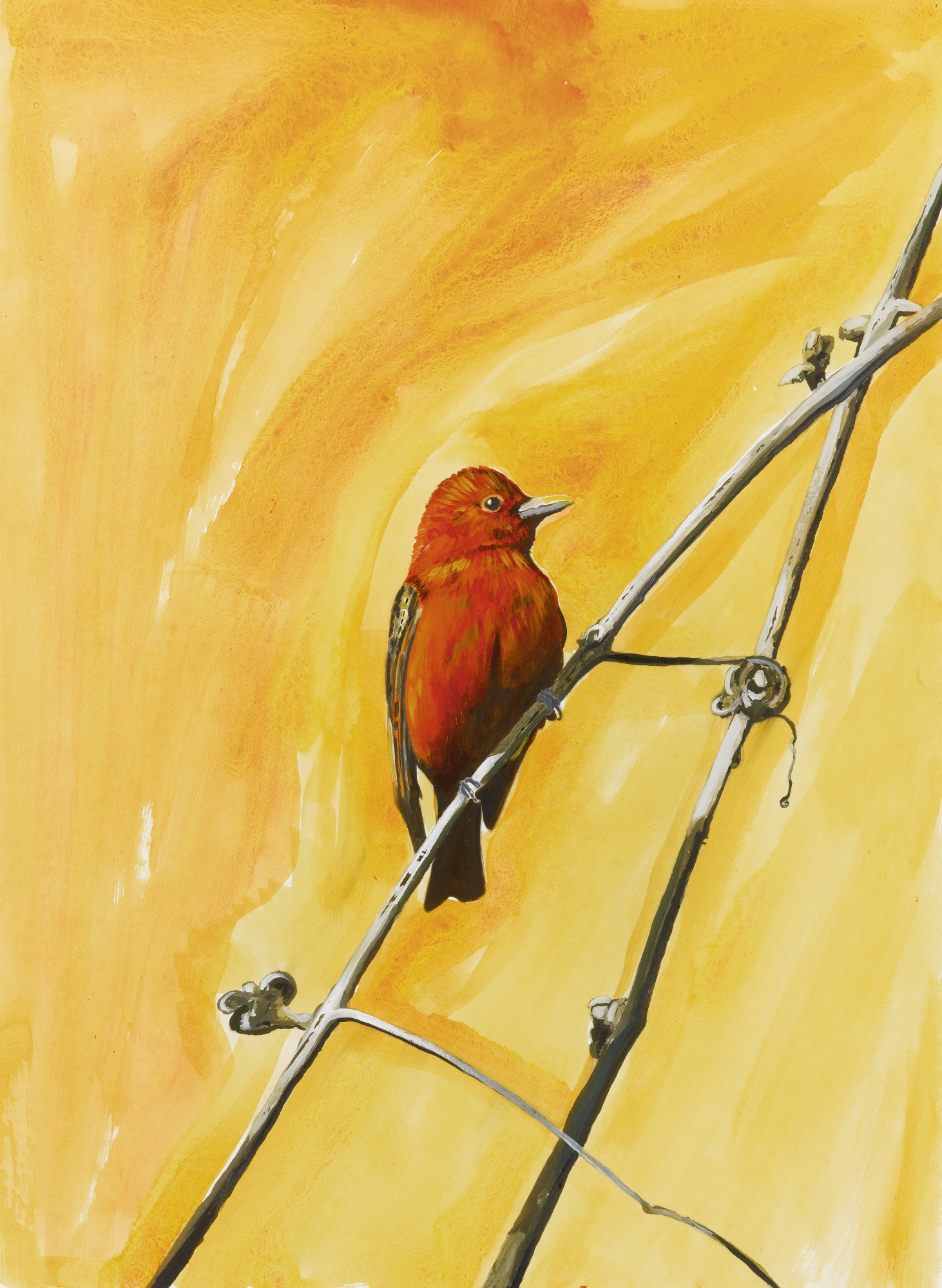 auction-image