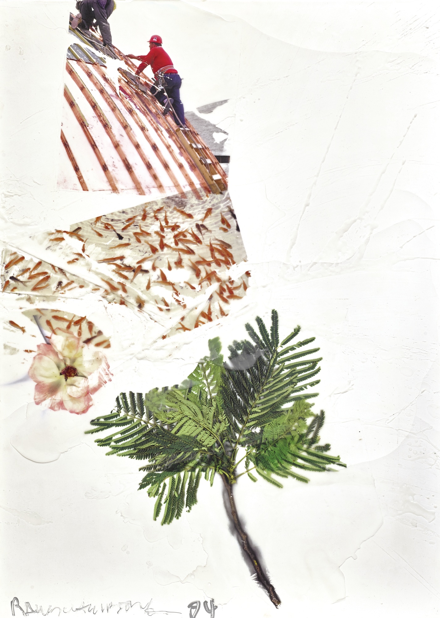 auction-image