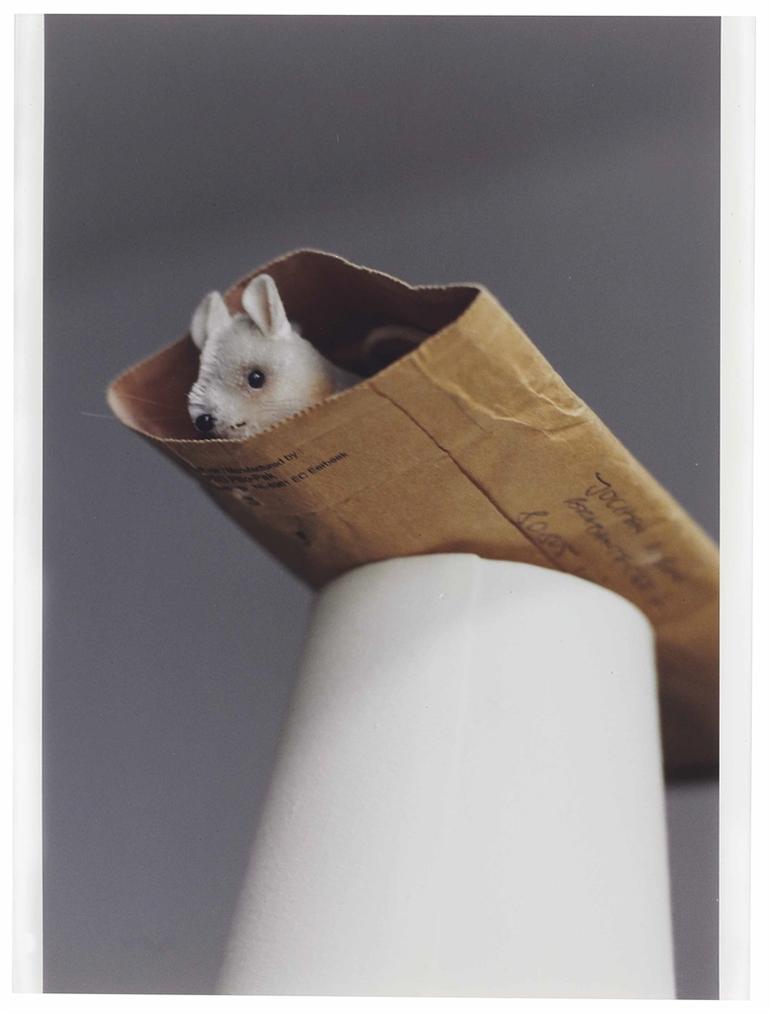 auction-image