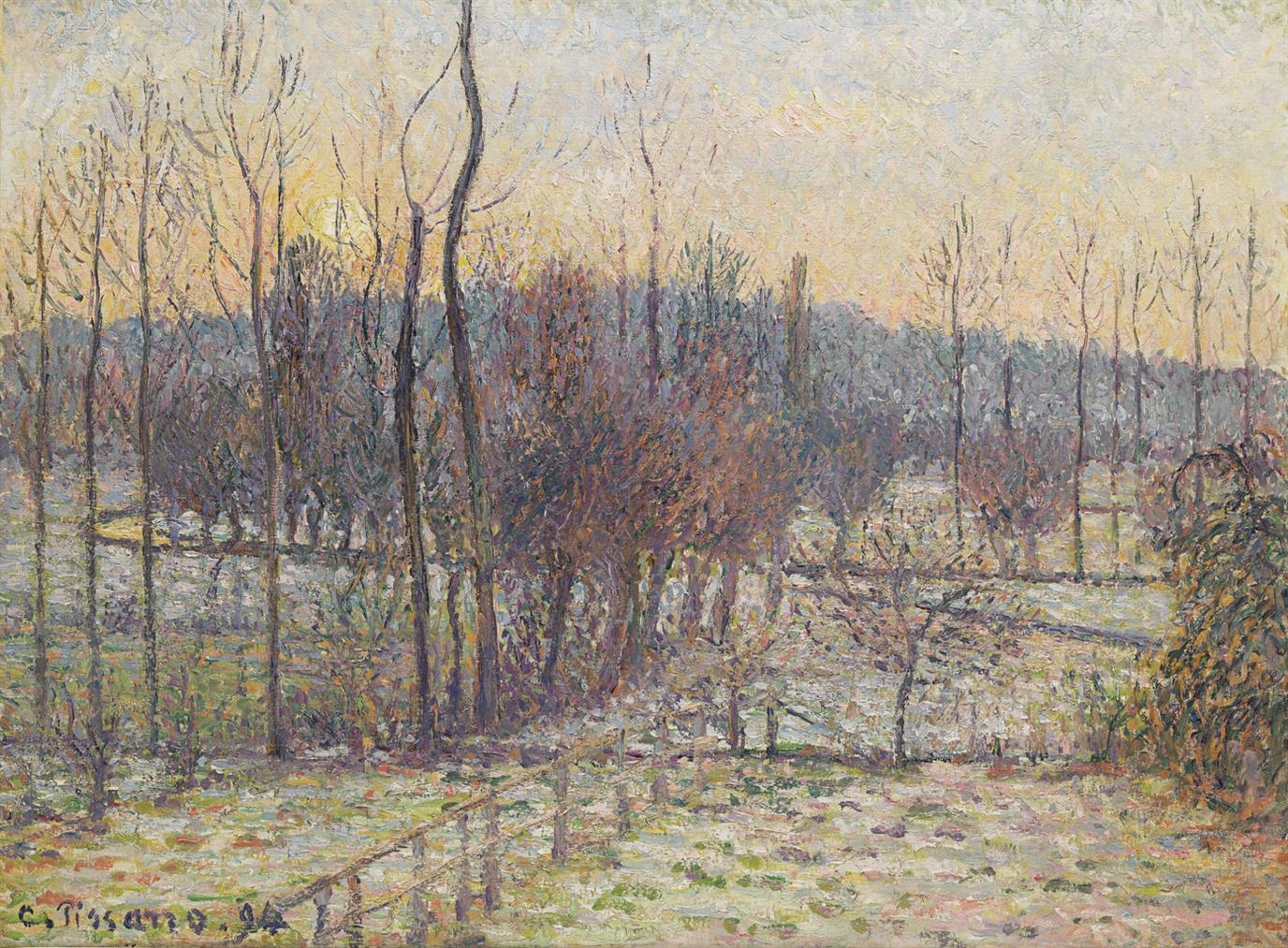 auction-image
