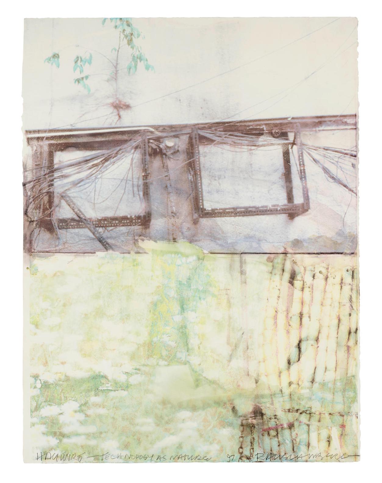 auction-image
