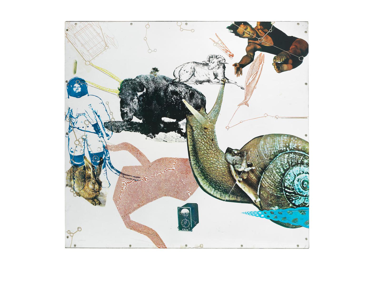 auction-image