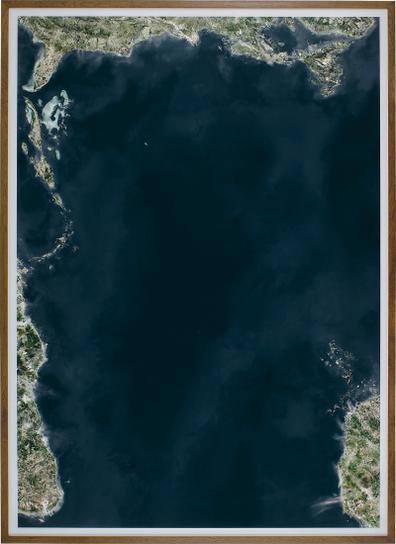 auction-image