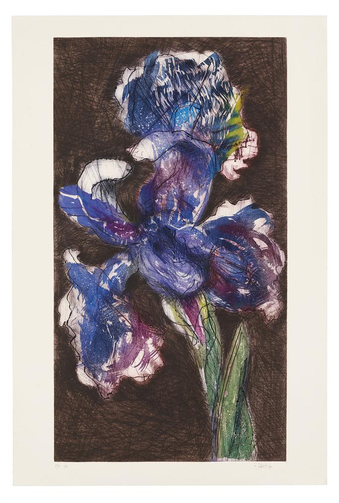 auction-image