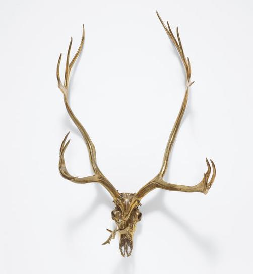 Caribou Skull | Widewalls