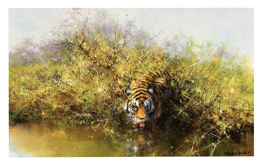 David Shepherd - Tiger | Widewalls