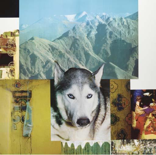 auction-image